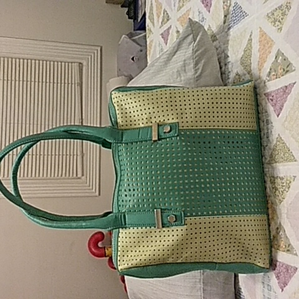 Charming Charlie Green Satchel